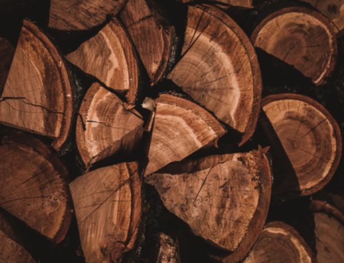 What Is Seasoned Wood?