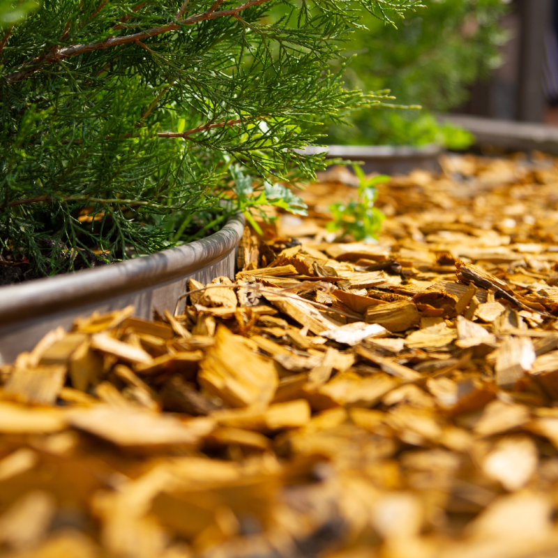 Mulch Around Bushes