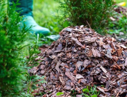 The Best Time of Year to Mulch Your Garden